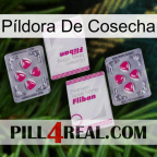 Píldora De Cosecha